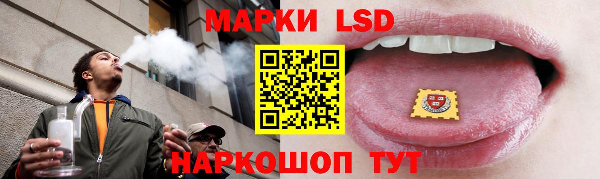 Новороссийск  ЛСД экстази кислота  Лсд 25 экстази  Вход с VPN  Лсд 25 экстази кислота 