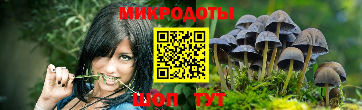 Галлюциногенные грибы Cubensis  Вход с VPN  как найти   Новороссийск 