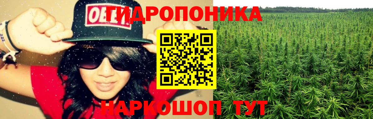 Новороссийск  Бошки марихуана MAZAR  Бошки Шишки конопля  Вход с VPN  Шишки марихуана OG Kush 